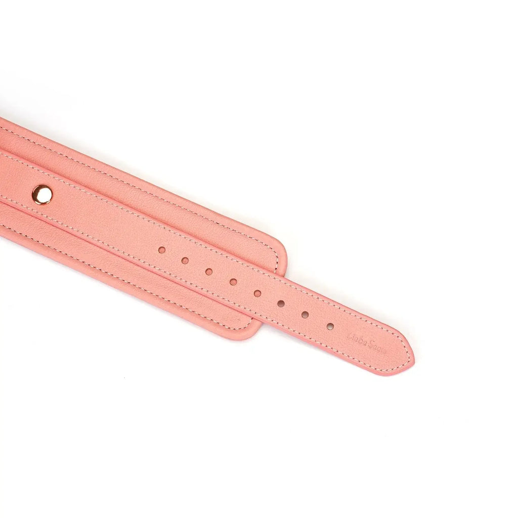 Pink Dream Collection Leather Ankle Cuffs - Restraints