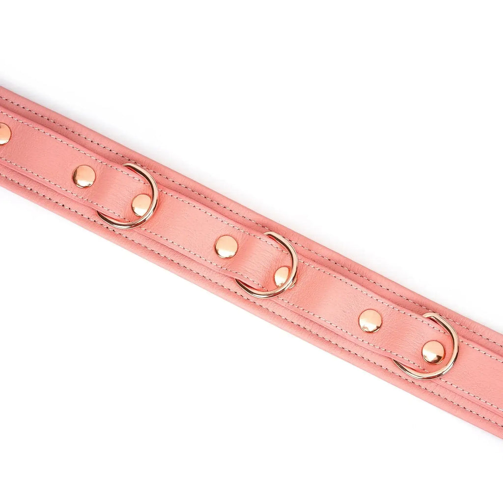 Pink Dream Collection Leather Collar with Leash - Restraints
