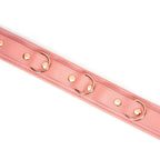 Pink Dream Collection Leather Collar with Leash - Restraints