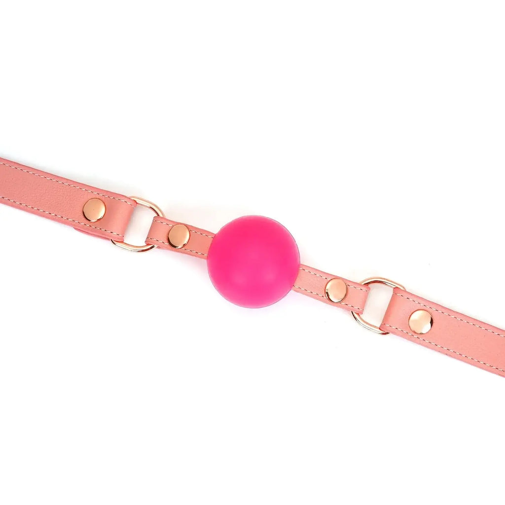 Pink Dream Collection Leather & Silicone Ball Gag - Gags