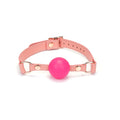 Pink Dream Collection Leather & Silicone Ball Gag - Gags