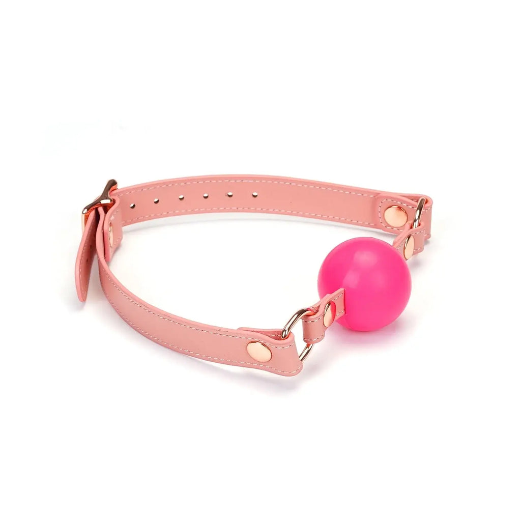 Pink Dream Collection Leather & Silicone Ball Gag - Gags