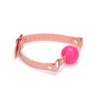 Pink Dream Collection Leather & Silicone Ball Gag - Gags
