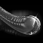 Pipedream® Icicles® No. 88 Glass Suction Cup G - Spot Wand - Rolik®