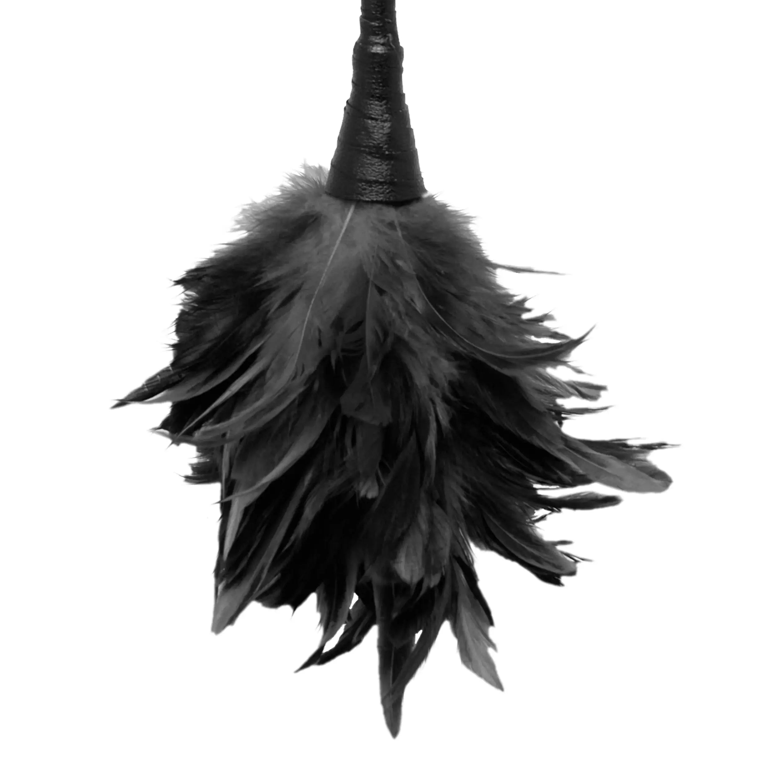 Pipedream® Pipedream Fetish Fantasy Frisky Feather Duster Tickler