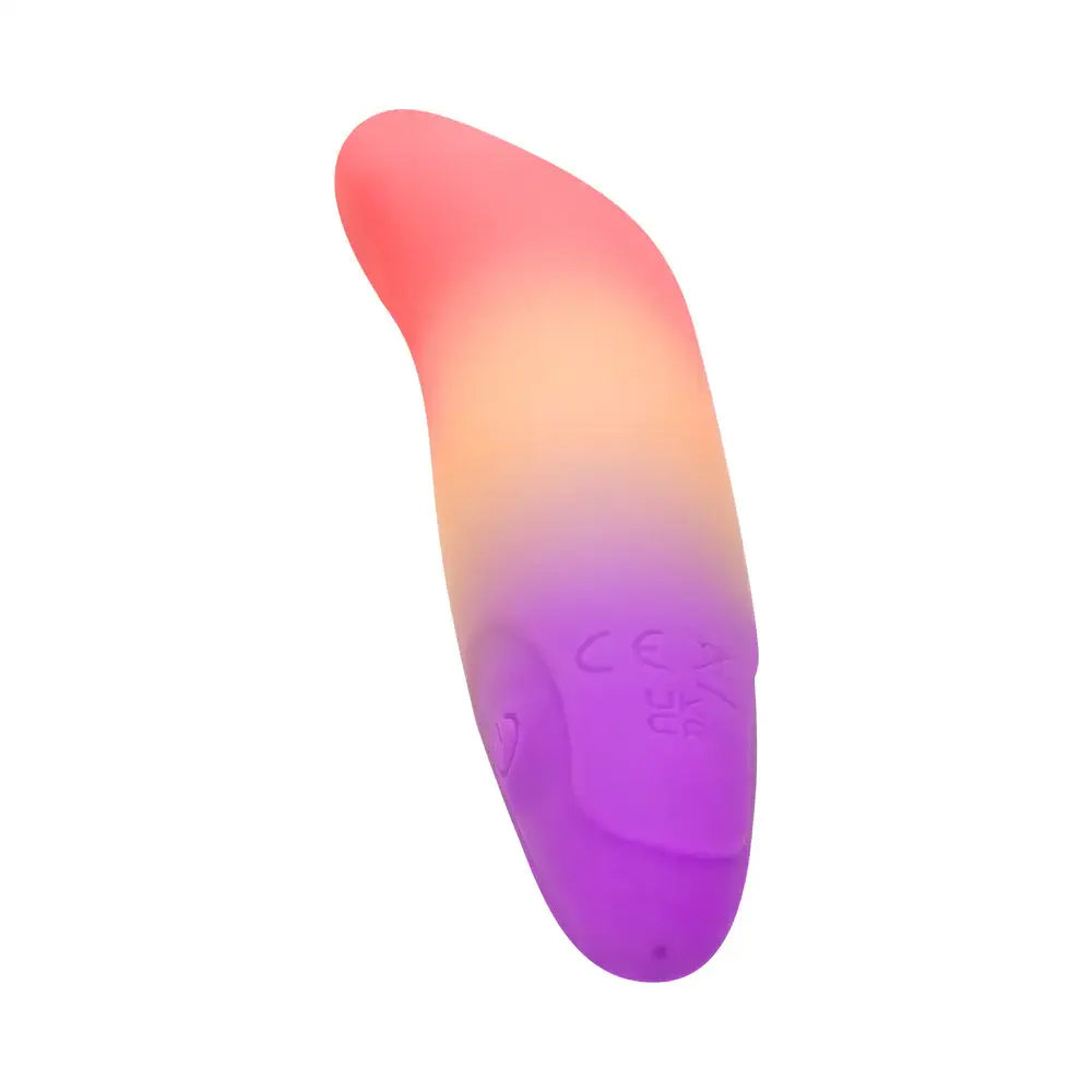 Play With Me Dolphin Bullet Vibrator