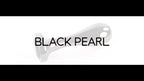 Gender X Black Pearl Aluminum Plug - Rolik®