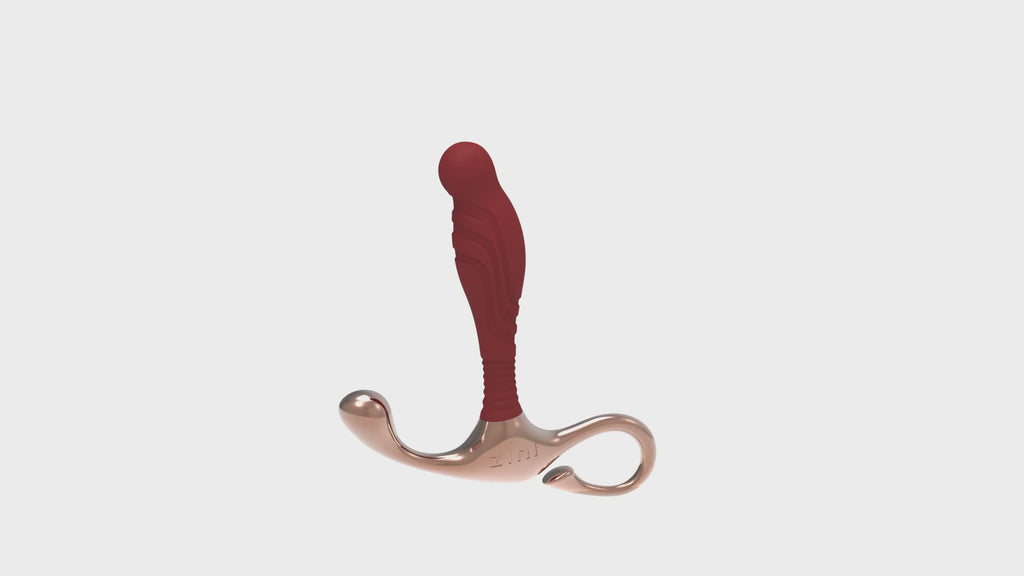 Zini Janus Lamp Iron 3 Way Precision Prostate Massager Small - Rolik®