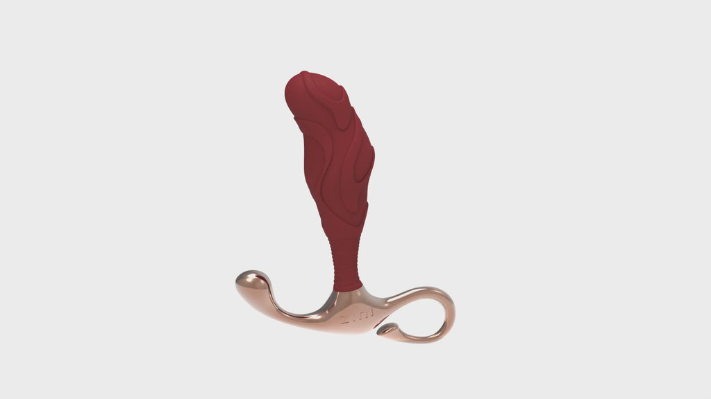 Zini Janus Lamp Iron 3 Way Precision Prostate Massager Large - Rolik®