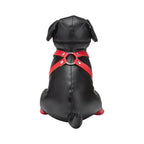 Bondage Puppies Booted Up Bandit Leather Stuffed Animal - Rolik®
