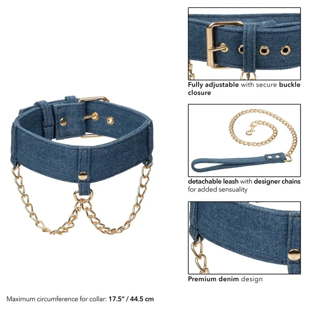 Ride 'em™ Premium Denim Collection Collar with Leash - Rolik®