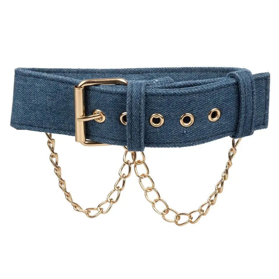Ride 'em™ Premium Denim Collection Collar with Leash - Rolik®