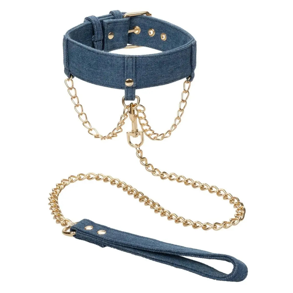 Ride 'em™ Premium Denim Collection Collar with Leash - Rolik®