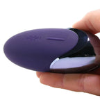 Satisfyer Purple Pleasure Lay - on Vibrator