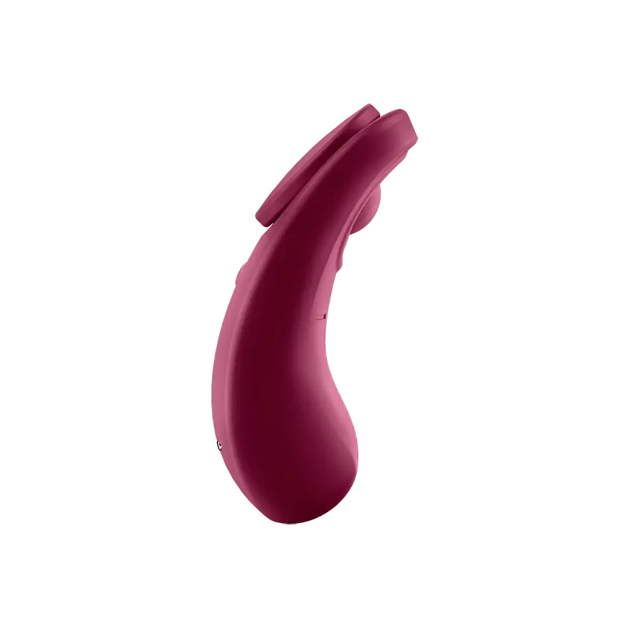 Satisfyer Sexy Secret Smart Panty Vibrator - Rolik®
