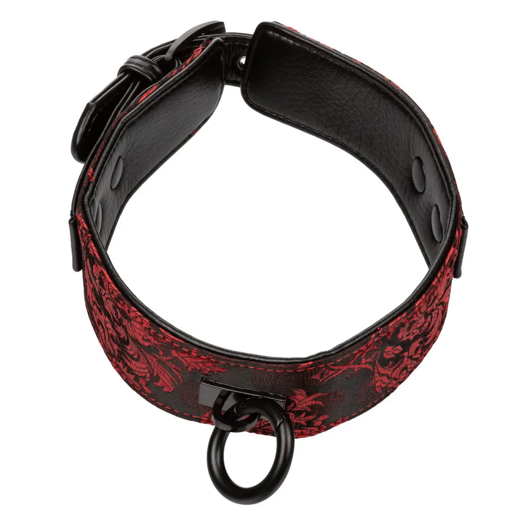 Red Scandal® Collar With Leash