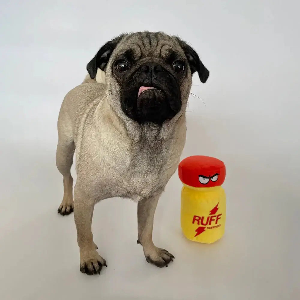 Ruff Pawppers Dog Toy - Rolik®