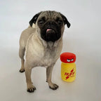Ruff Pawppers Dog Toy - Rolik®
