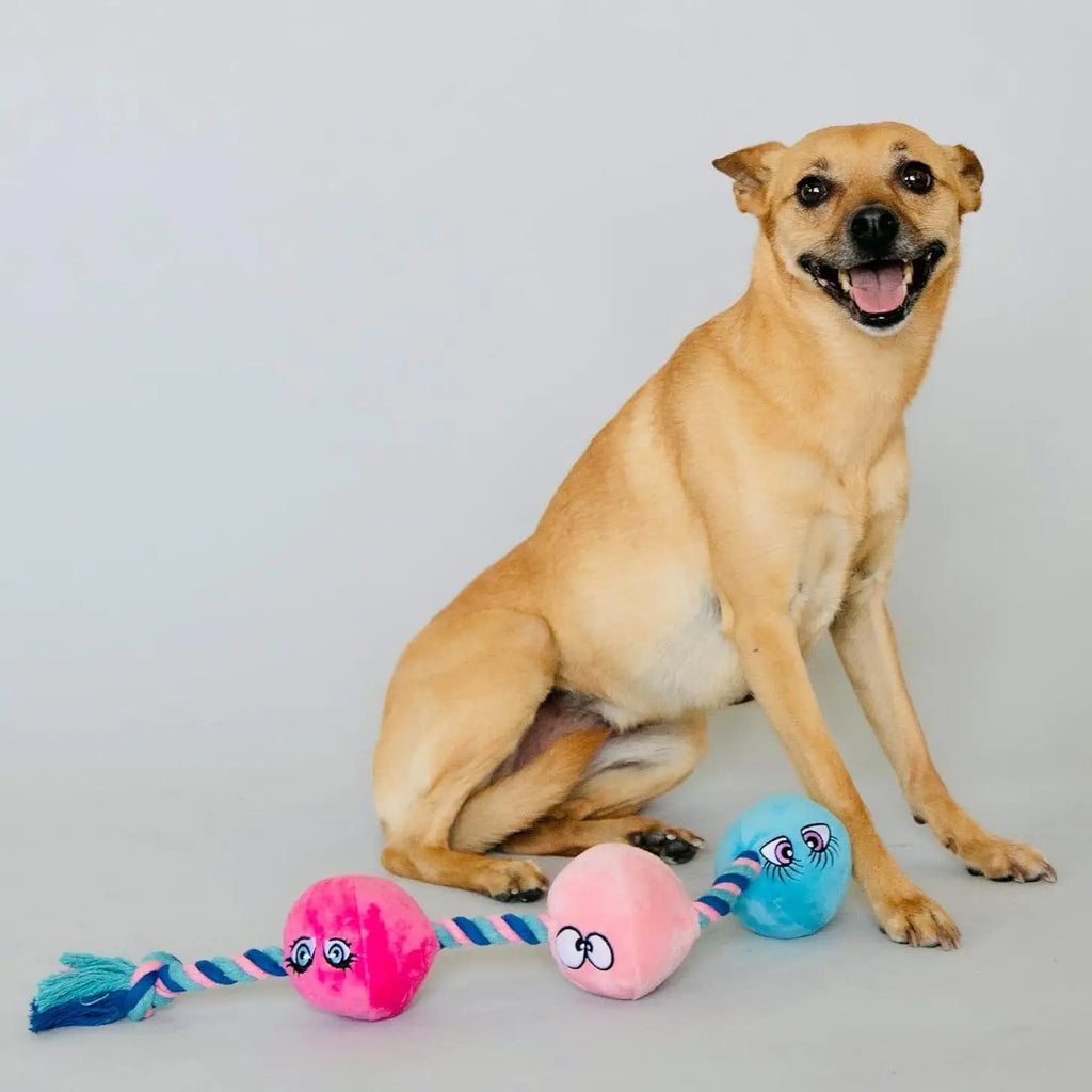 Tug Buttons Dog Toy