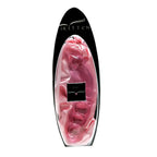 Sex Kitten Pink Glass G - Spotter Dildo