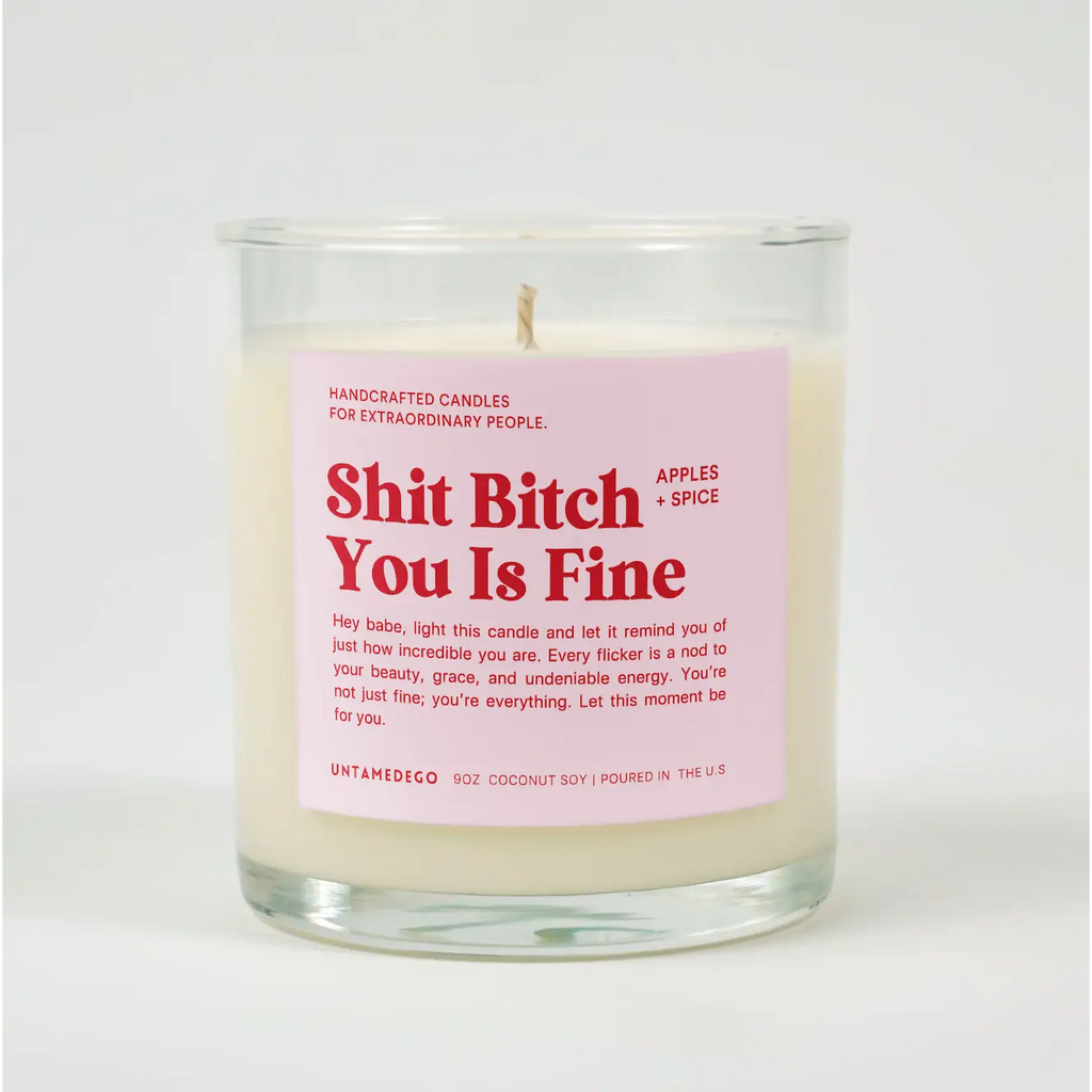 Shit Bitch You Is Fine Glass Candle APPLES + SPICE