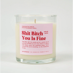 Shit Bitch You Is Fine Glass Candle APPLES + SPICE