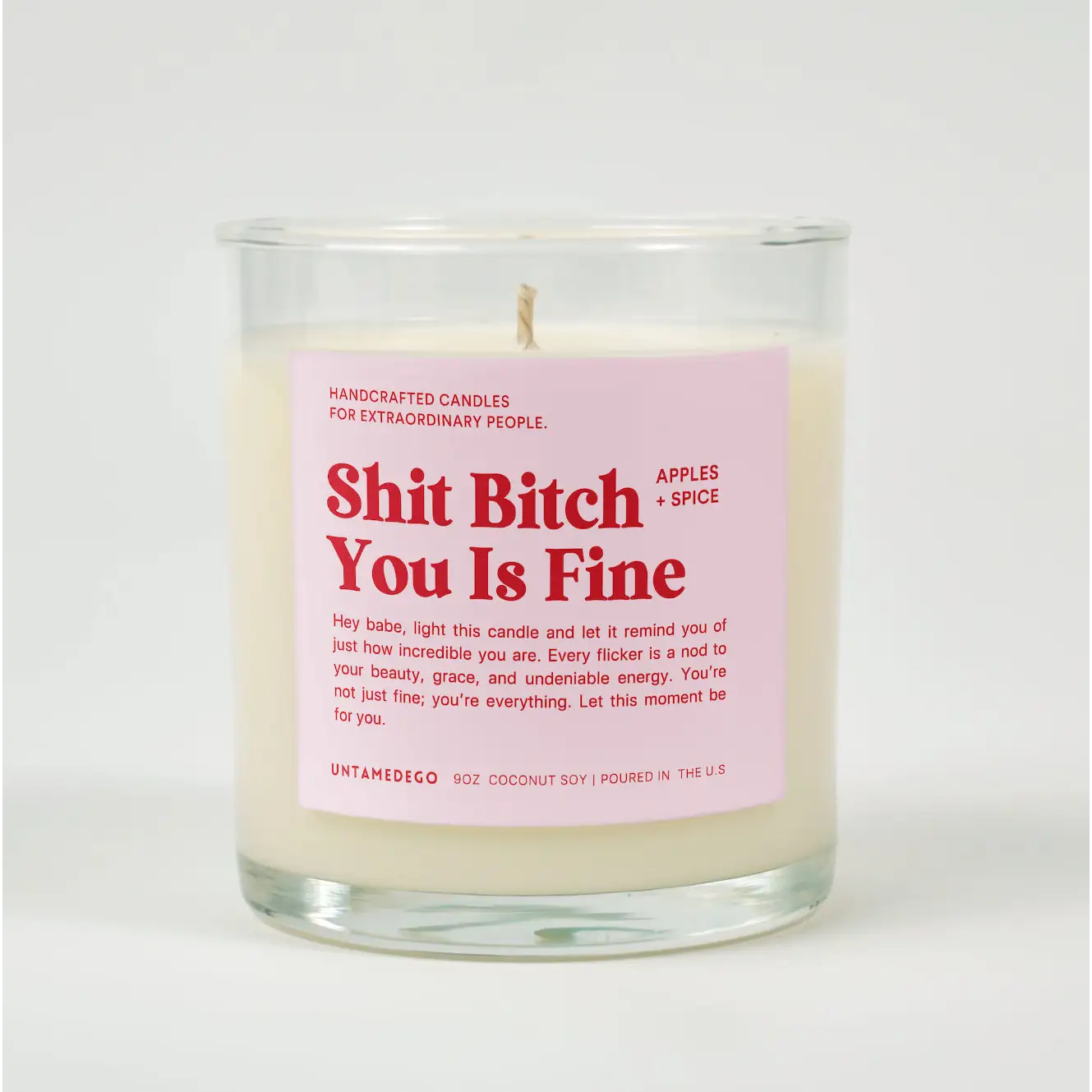 Shit Bitch You Is Fine Glass Candle APPLES + SPICE