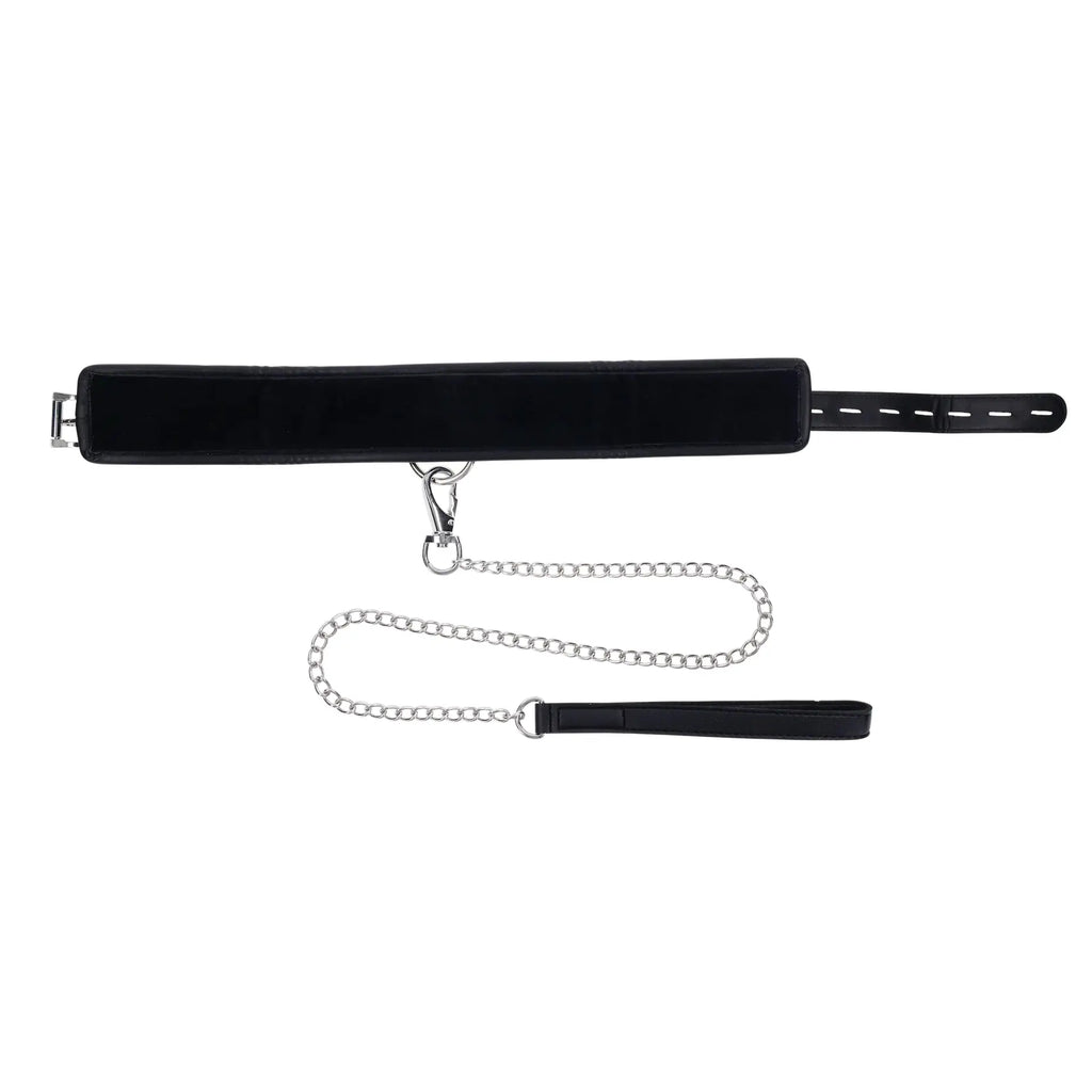Edge® Collar & Leash - Restraints