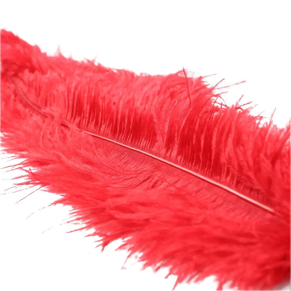 Ostrich Ticklers - Tickler