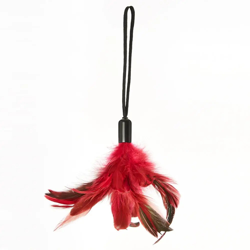 Pleasure Feathers - Burgundy - Tickler