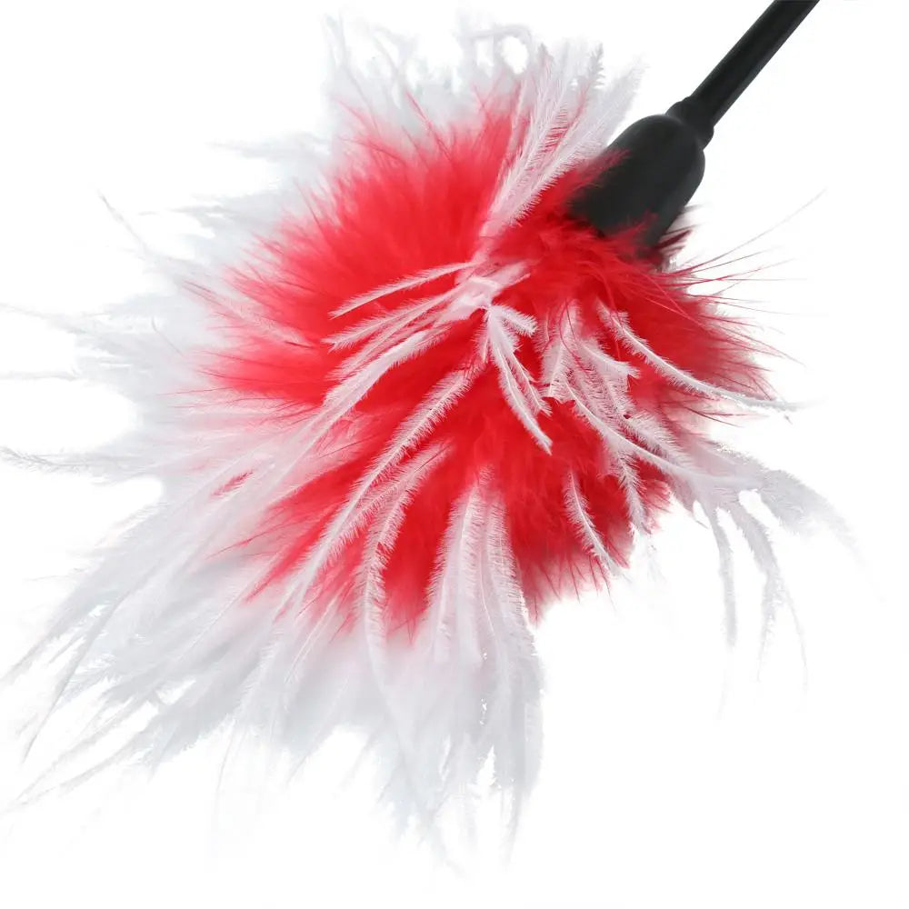 Sex & Mischief® Whip + Tickler