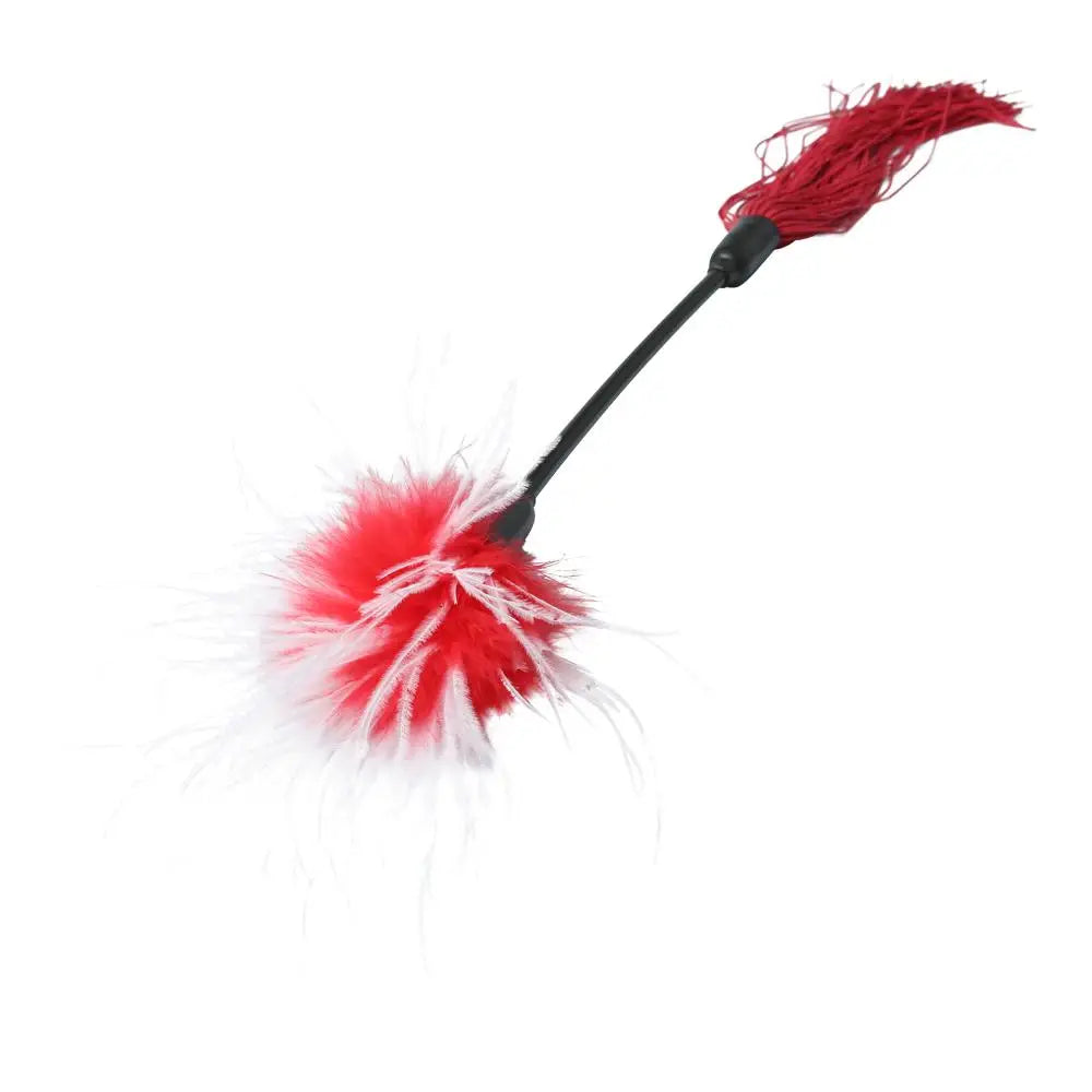 Sex & Mischief® Whip + Tickler