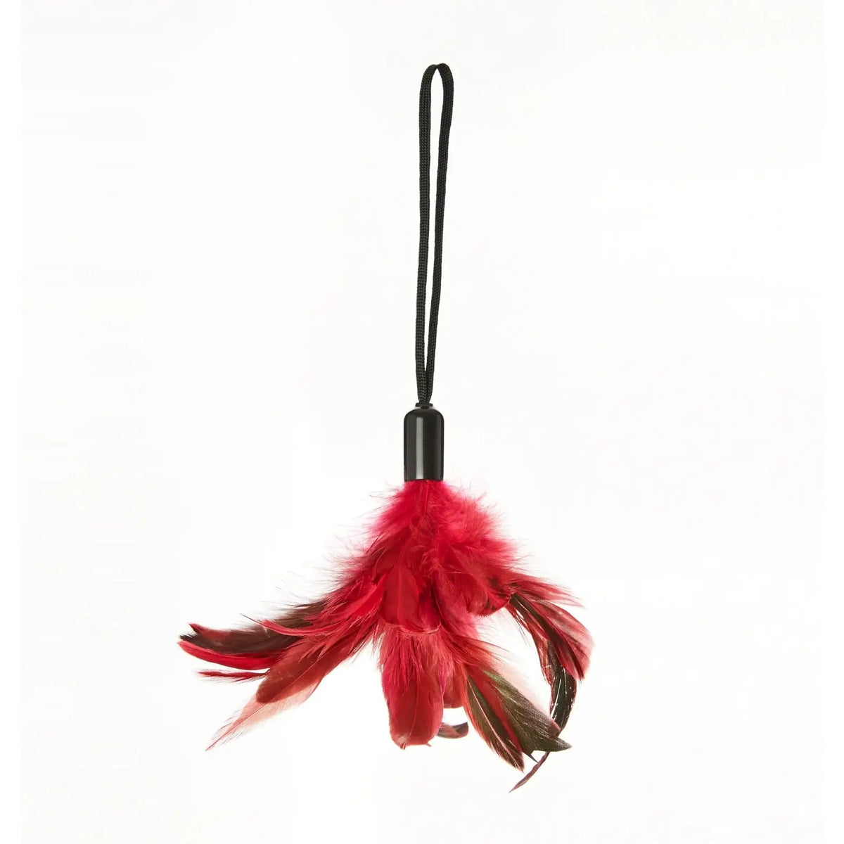 Sportsheets® Sportsheets Pleasure Feathers Tickler | Feather Teaser for Couples Burgundy