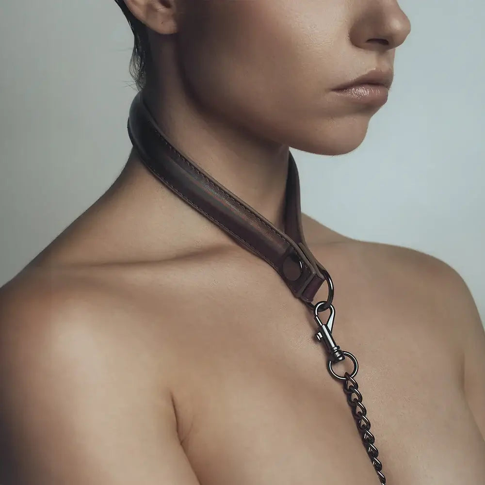 Leash and Dildo Ring Kit - Restraints
