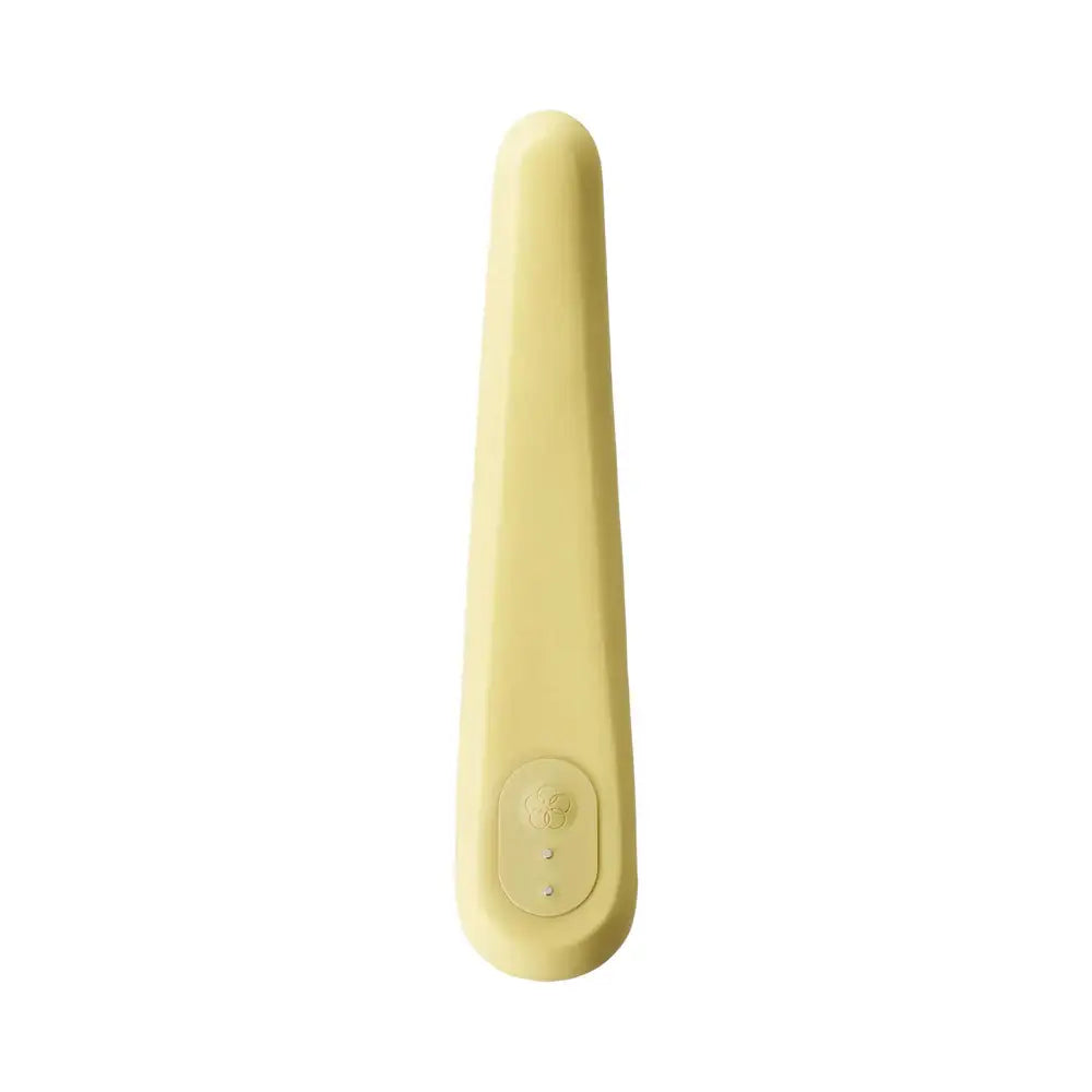 Iroha Mikazuki Vibrator