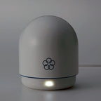 Iroha Temari Vibrator - Mizu