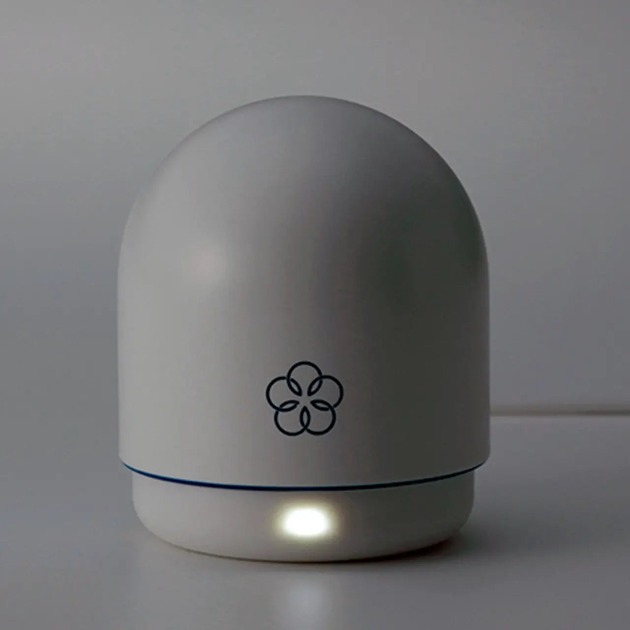 Iroha Temari Vibrator - Mizu