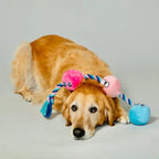 Tug Buttons Dog Toy - Rolik®
