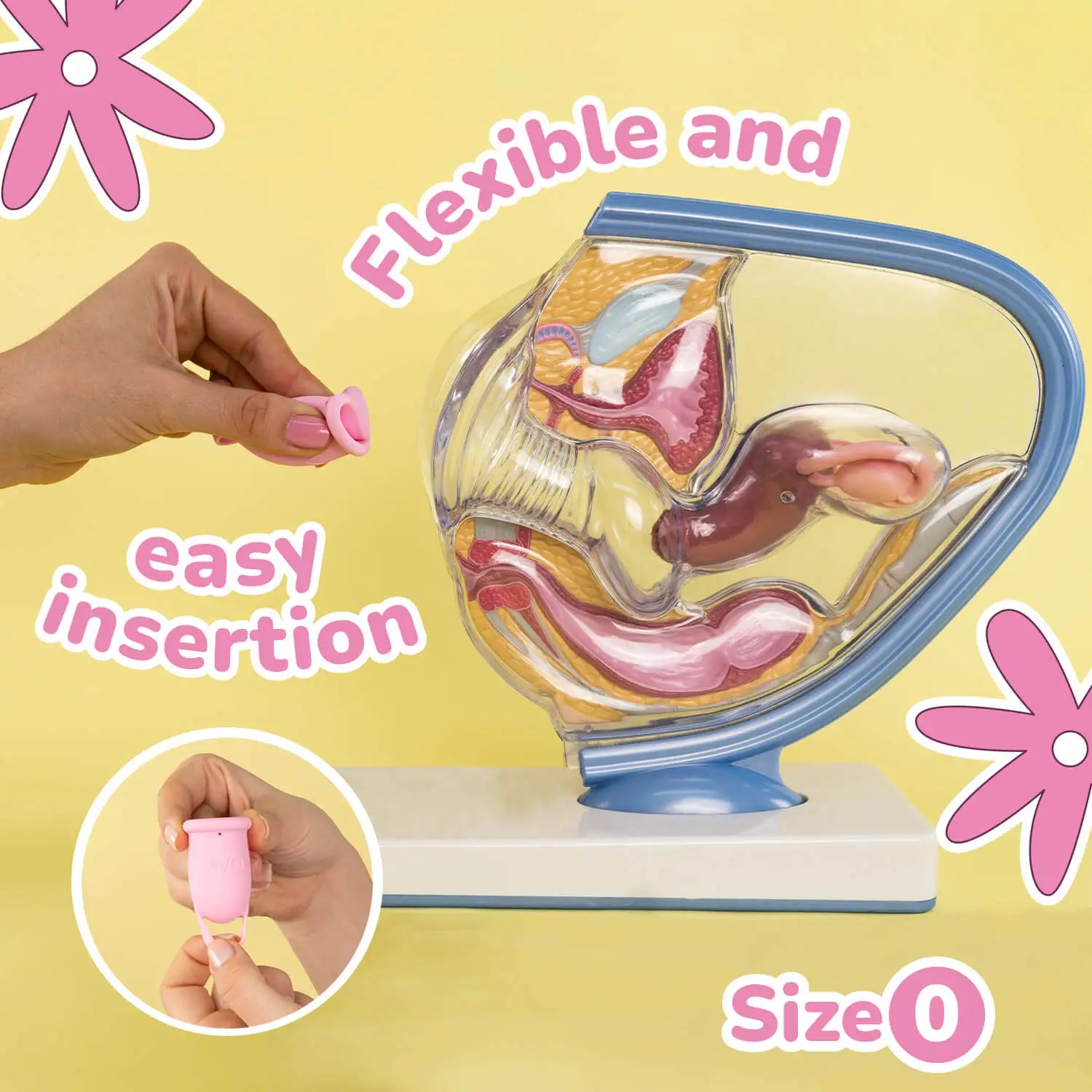 Uva 2 Menstrual Cup – Size (15ml | Light Flow)