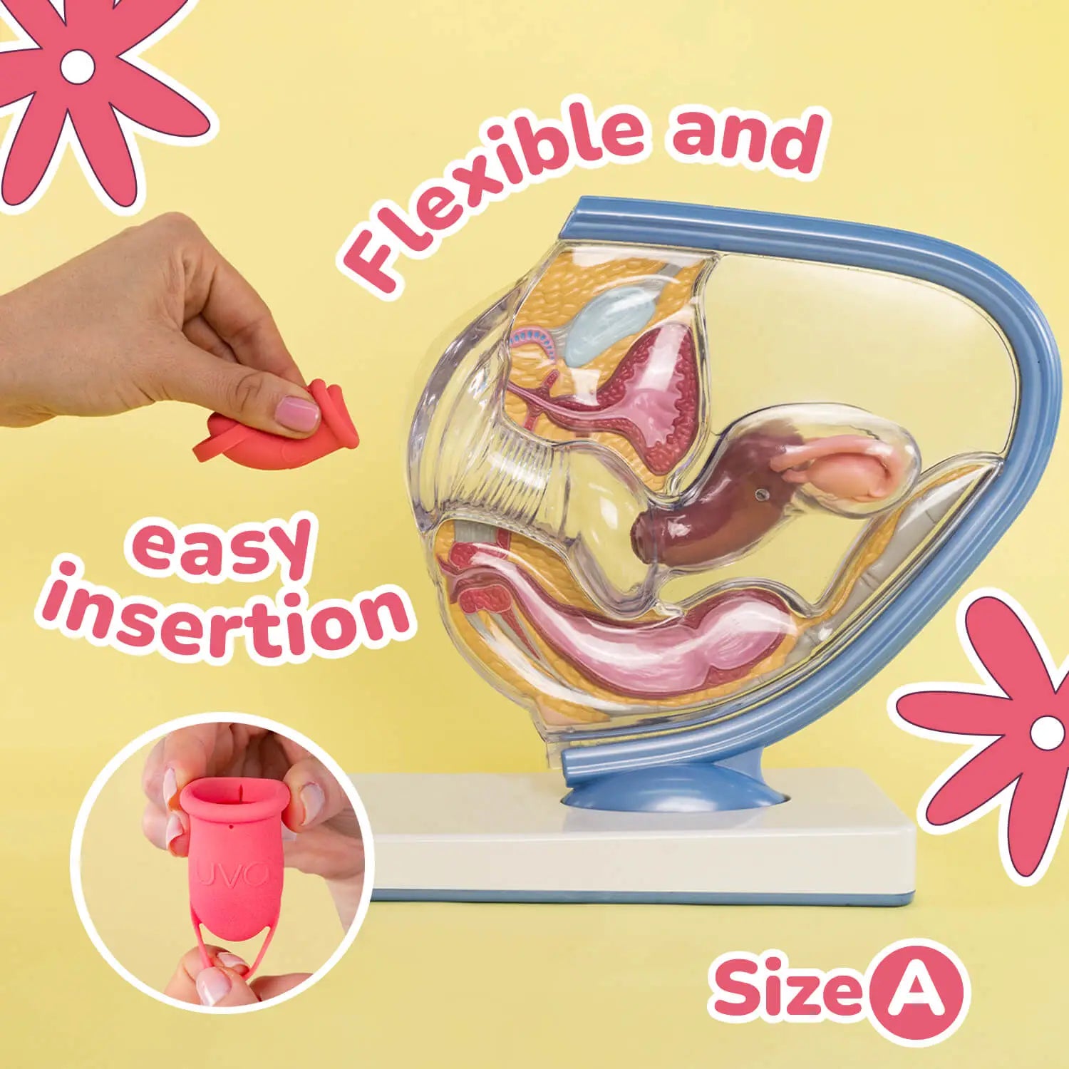 Uva UVA 2 Silicone Menstrual Cup – Size A (20mL | Moderate Flow)