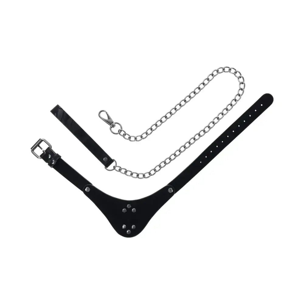 Sportsheets® Velvet Noir Collar & Leash - Rolik®