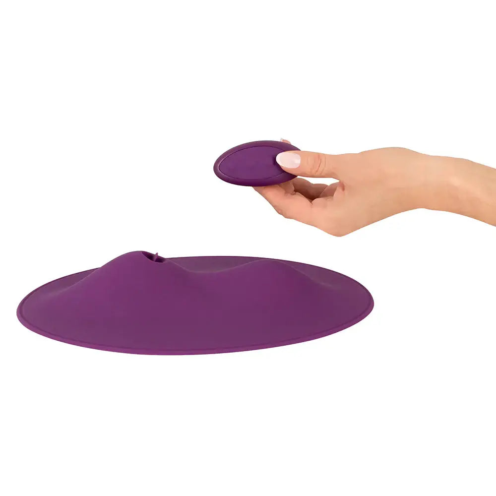 VibePad 2 with Remote - Purple - Vibrator