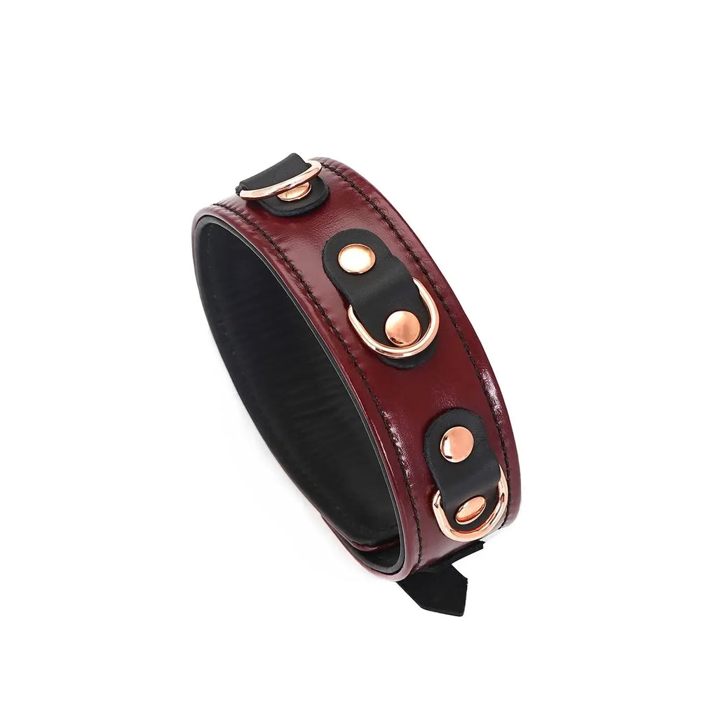 Wine Red Collection Leather Collar with Leash - Burgundy - Restraints