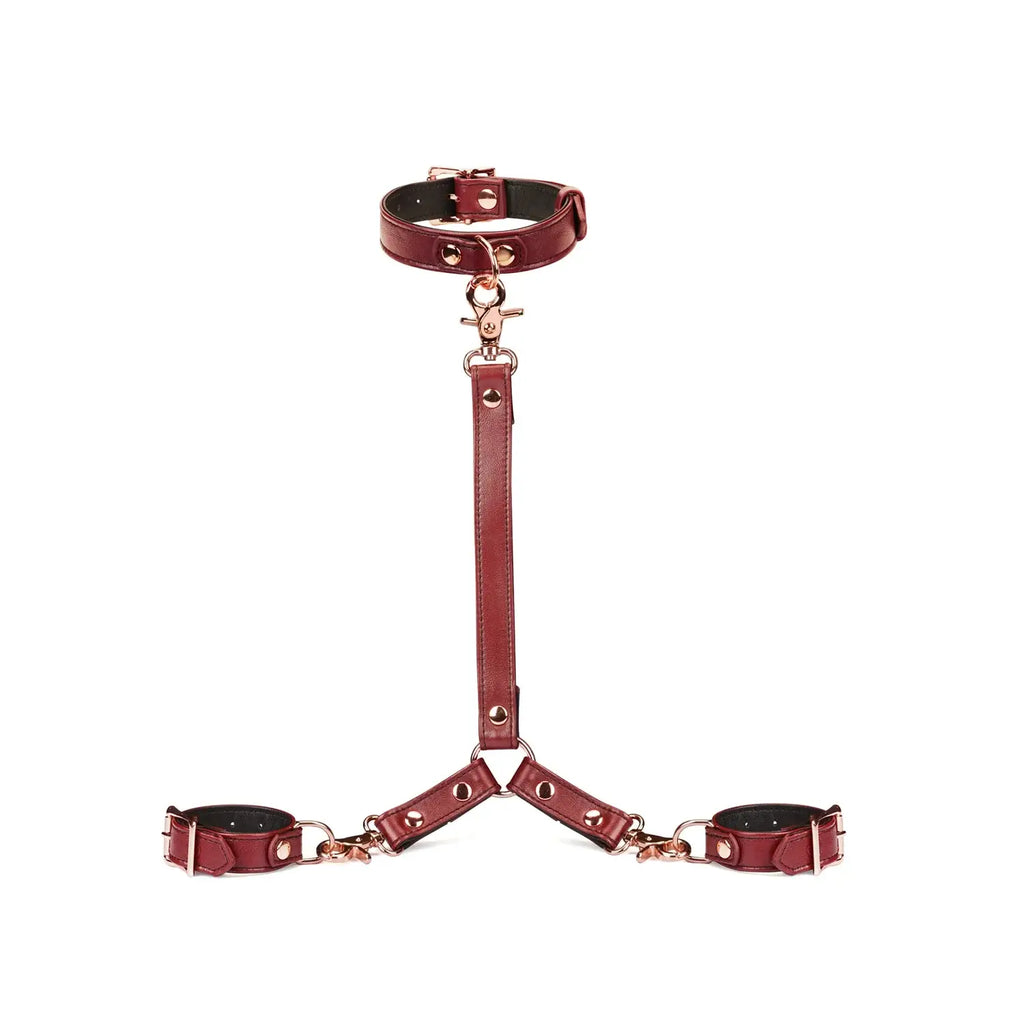 Wine Red Collection Leather Collar & Wrist Restraints Harness - Burgundy