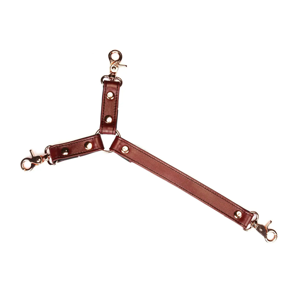 Wine Red Collection Leather Collar & Wrist Restraints Harness - Burgundy