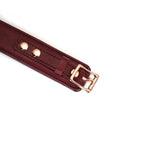 Wine Red Collection Leather Curved Collar with Leash & Lock - Burgundy - Restraints