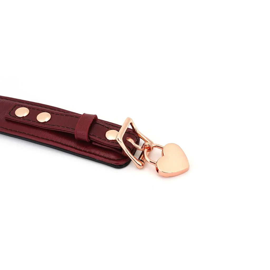 Wine Red Collection Leather Curved Collar with Leash & Lock - Burgundy - Restraints