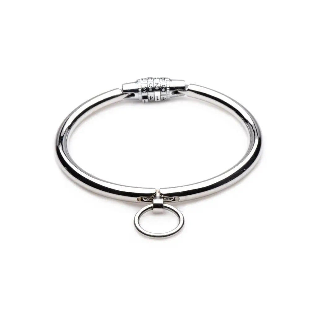 Master Series® Stainless Steel Combination Lock Collar - Rolik®