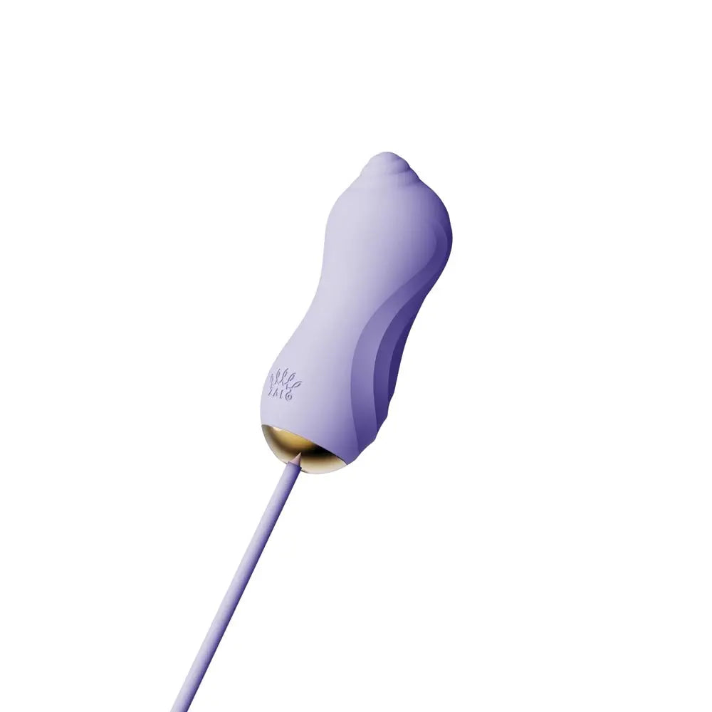 Unicorn Vibrator Set