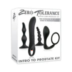 Intro to Prostate Kit - Black - Anal Probe